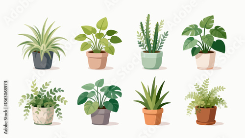 Potted plants collection