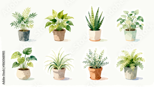 Watercolor potted plants collection