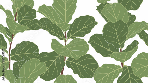 Green Fig Leaves with White Veins.