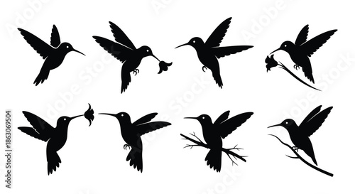 Silhouettes of hummingbirds in flight a graceful and dynamic avian display