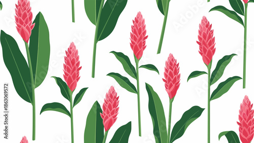Illustration of Pink Plants with Green Leaves.