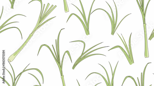 Green Bamboo Shoots on White Background.