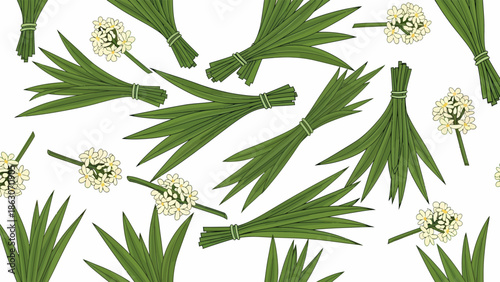 Dandelion Plants with Seeds and Leaves.