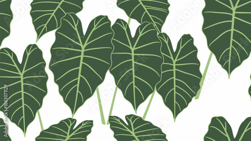 Large Green Tropical Alocasia Leaves Pattern.