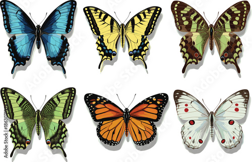 Realistic Colorful Butterflies Including Monarch Swallowtail and Exotic Tropical Species Vector Illustration