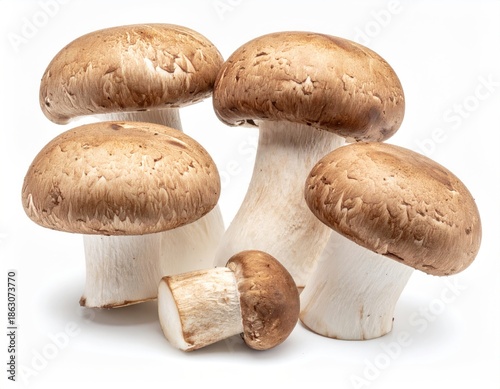 Cluster of brown fungi, with white stems, isolated on white background