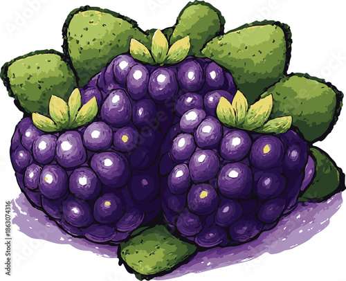 blackberry. realism style. eps 10 illustration.
