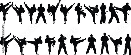 Silhouettes of martial artists performing karate and taekwondo moves, showcasing dynamic kicks, punches, stances, discipline, training, and athletic energy