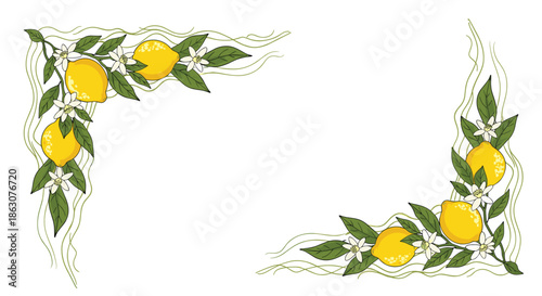 Beautiful corner border decorations featuring ripe yellow lemons on green leafy branches with white blossoms for citrus designs.