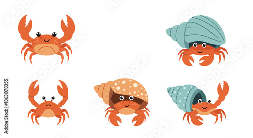 Collection of six cute cartoon hermit crabs and crabs in various colors and shell patterns isolated on a white background.