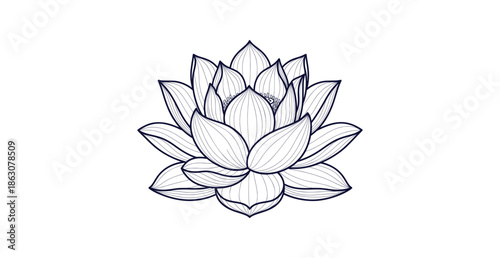 Detailed Lotus Flower Line Art Vector Drawing Botanical Illustration for Meditation and Spa Design