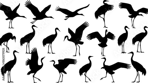 cranes bird sihouette black vector bundle 