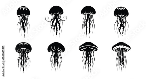 A collection of black and white illustrations depicting various jellyfish forms