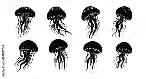 A collection of black and white illustrations depicting various jellyfish forms