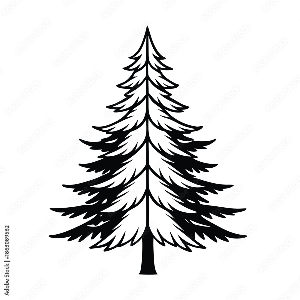 Obraz premium pine tree