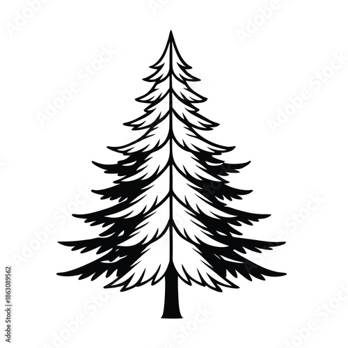 pine tree