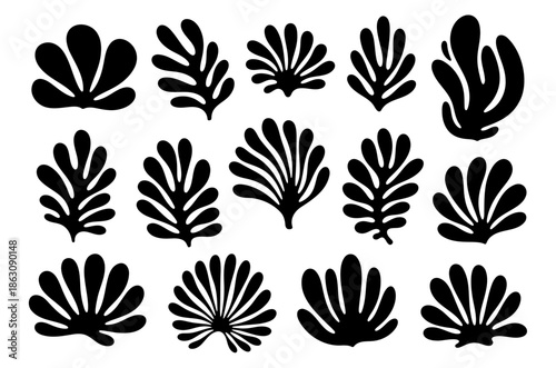 Abstract botanical leaves and organic coral shapes silhouette vector set