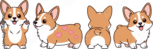 Set of cute Welsh Corgi puppy characters in different poses including front side and back view flat vector illustration isolated on white background.