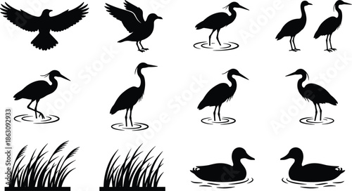 Bird silhouettes collection featuring heron egret duck flying standing poses wetland wildlife vector icons isolated on white background illustration design set nature water birds