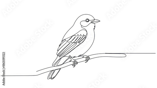 Bird on branch