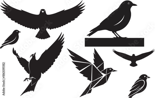 Silhouette of various bird poses isolated on transparent background