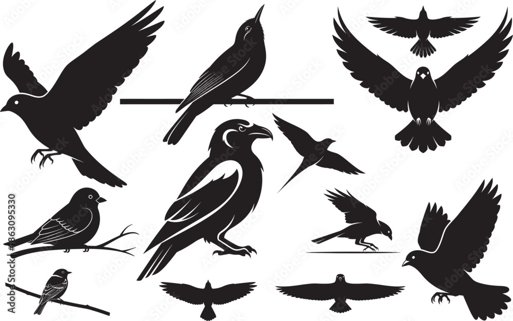 Obraz premium Silhouette of various birds isolated on transparent background