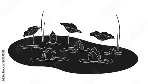 Lotus Flowers and Leaves in Pond.