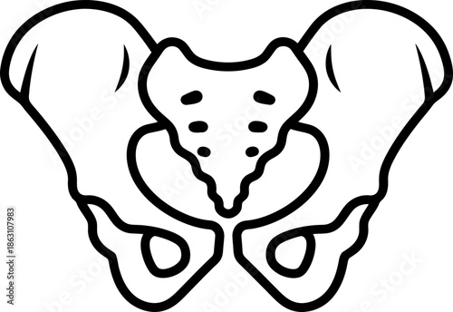 Human pelvis skeleton bone icon in outline style. Anatomy study and medical concept for education, web, infographic, app. Vector illustration