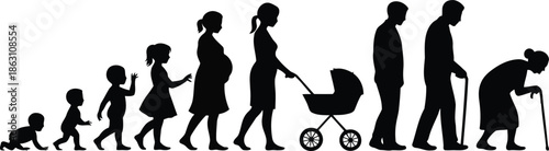 Progressive sequence showing the different stages of human development and aging from birth to elder years