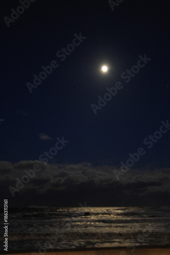 Moonlight shinning on the ocean