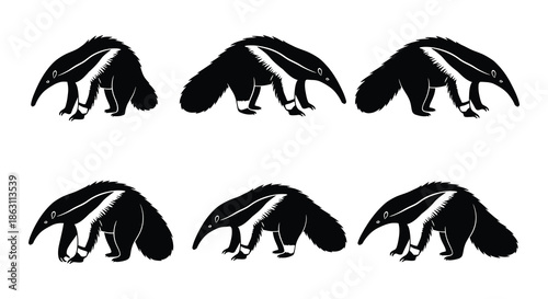 A collection of stylized anteater silhouettes showcasing their unique forms