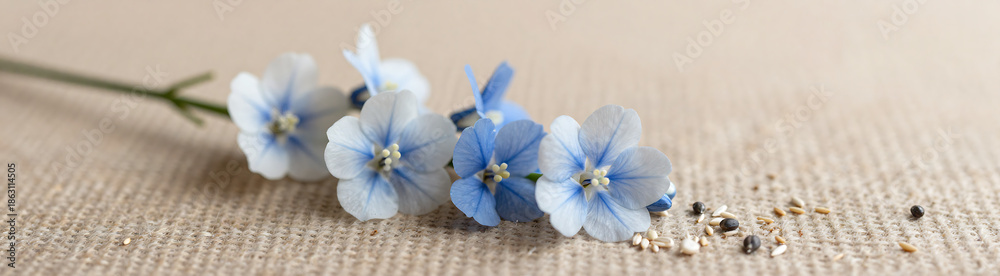 Fototapeta premium delicate blue white floral arrangement lies amidst natural texture grains seeds soft warm