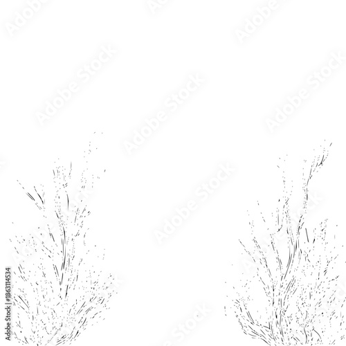 Two abstract floral arrangements with delicate lines on a white background creating a minimalist design element