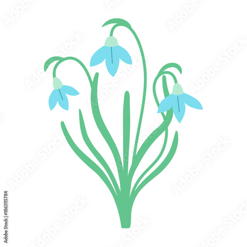 Snowdrops isolated on a white background. Colored icon, vector illustration in a flat style. Early spring flower, Easter time. Mother's day spring holiday illustration. Galánthus nivális. 