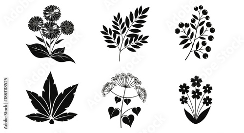 Botanical Silhouettes Vector Set for Elegant Floral Designs, Invitations, and Nature-Themed Branding