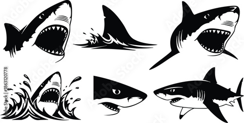 Tattoo flash close up shark head with open jaws looking at viewer three quarter angle black ink silhouettes water splash side profile dorsal fin vector emblem