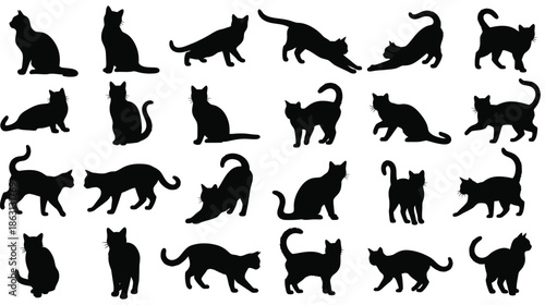 Diverse collection of black cat silhouettes in various playful poses silhouette