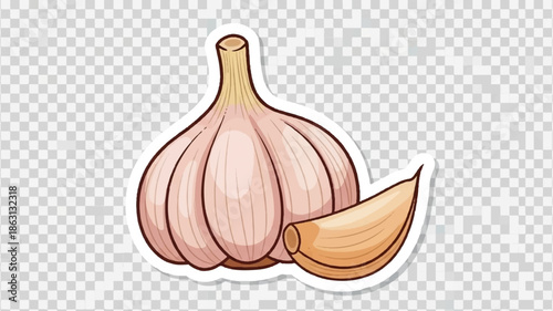 Illustrated garlic bulb and a single clove with a white outline on a transparent background