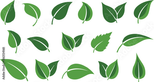 Green Leaf Collection: Various Designs and Styles for Nature and Ecology Concepts
