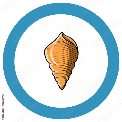 Stylized Orange Conch Shell Illustration in Round Blue Frame Design