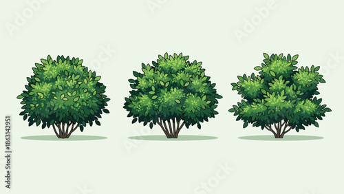 Set of three lush green garden bushes with varying leaf patterns and textures provides a versatile natural element for landscaping and park illustrations.