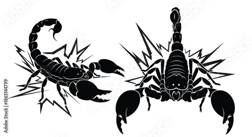 Pair of powerful black scorpion silhouettes in defensive and attacking poses with sharp stings and pincers on a white background.