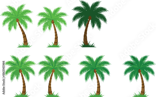 Palm Tree Vector Illustration Set with Tropical Coconut Palms in Multiple Styles for Summer, Beach, Island, and Nature Design Projects