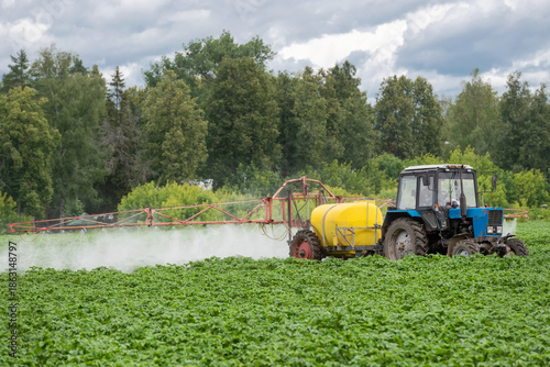 A tractor sprays fresh potatoes with pesticides. This pest control process is essential for growing and protecting plants