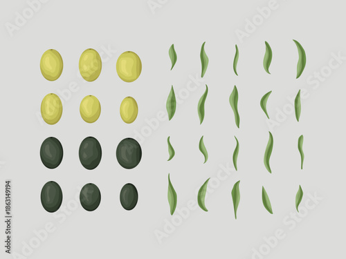 olive oil vegan nature farm spanish virgin harvest italian raw drawing cartoon element organic diet