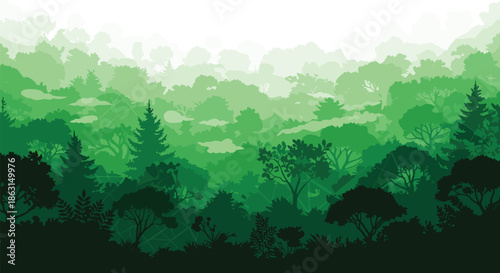 Beautiful green layered forest landscape showing various types of evergreen and deciduous trees for nature conservation.