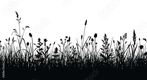 Horizontal black silhouette of a wild meadow with various types of grass herbs and field flowers on a clean white background.