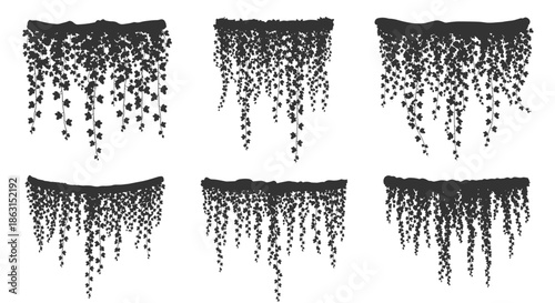 Collection of six different hanging ivy plant silhouettes each forming a dense leafy curtain for garden design.