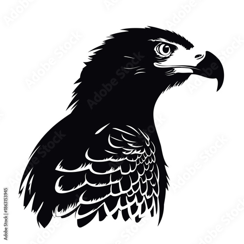 Detailed black and white image of an eagle or falcon head in profile. Stylized drawing with delineated feathers. Pictogram of majesty and power. Vector illustration.