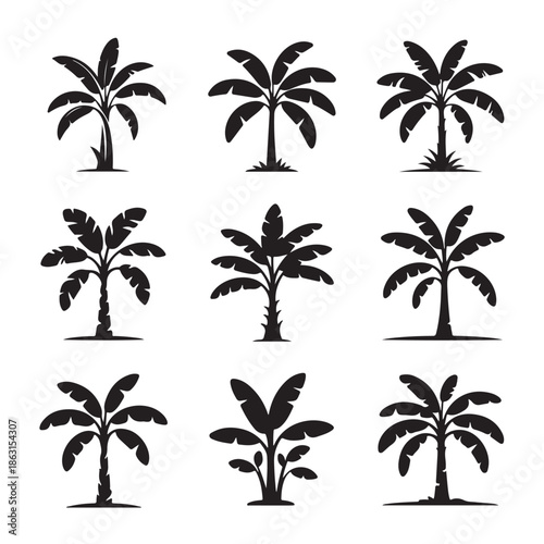 Collection of Silhouette Palm Trees Vector Icons Isolated on Transparent Backdrop tropical Nature summer Vacation Plant Icon Sign Symbol Flat Design Set